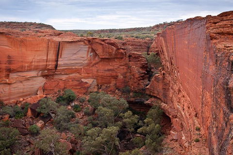 Uluru, Kata Tjuta And Kings Canyon Camping Safari From Alice Springs - Accommodation Georgetown 4