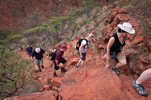 Uluru, Kata Tjuta And Kings Canyon Camping Safari From Alice Springs - Accommodation Georgetown 3