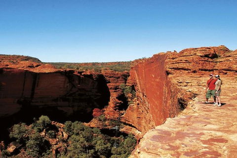 The Amazing Kings Canyon: 4-Hours Walking Tour And Hike - Accommodation Georgetown 4