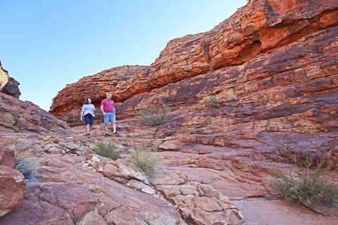 The Amazing Kings Canyon: 4-Hours Walking Tour And Hike - Accommodation Georgetown 0