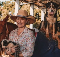 Half Hour Group Horse Riding Experience - Accommodation Georgetown