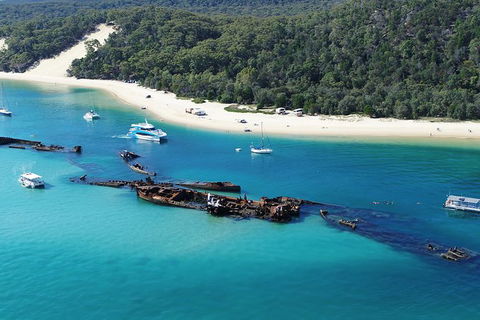 All Inclusive Dolphin And Tangalooma Wrecks Cruise - Accommodation Georgetown 2