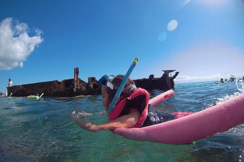 All Inclusive Dolphin And Tangalooma Wrecks Cruise - Accommodation Georgetown 8
