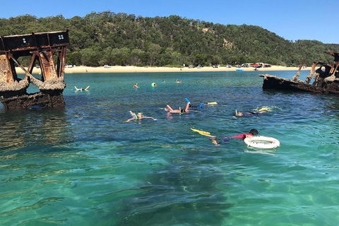 All Inclusive Dolphin And Tangalooma Wrecks Cruise - Accommodation Georgetown 9