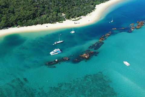 All Inclusive Dolphin And Tangalooma Wrecks Cruise - Accommodation Georgetown 3