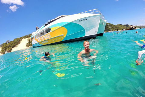 All Inclusive Dolphin And Tangalooma Wrecks Cruise - Accommodation Georgetown 0