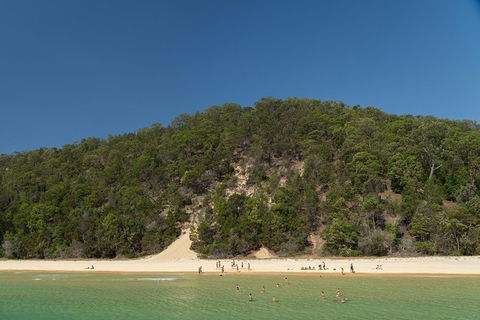 All Inclusive Dolphin And Tangalooma Wrecks Cruise - Accommodation Georgetown 4
