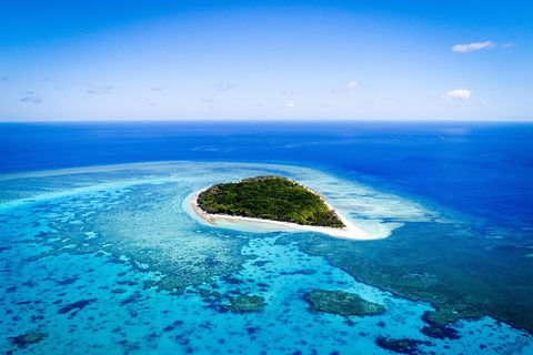 Lady Musgrave Day Trip From Bundaberg Including Snorkeling, Glass Bottom Tour And Guided Island Walk - Accommodation Georgetown 0