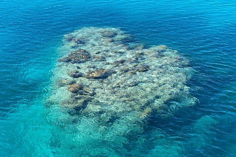 Lady Musgrave Day Trip From Bundaberg Including Snorkeling, Glass Bottom Tour And Guided Island Walk - Accommodation Georgetown 2