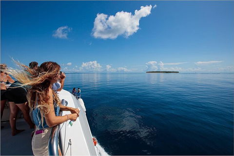 Lady Musgrave Day Trip From Bundaberg Including Snorkeling, Glass Bottom Tour And Guided Island Walk - Accommodation Georgetown 4