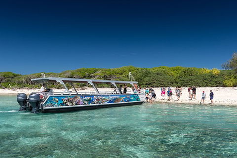 Lady Musgrave Day Trip From Bundaberg Including Snorkeling, Glass Bottom Tour And Guided Island Walk - Accommodation Georgetown 5