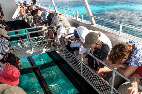Lady Musgrave Day Trip From Bundaberg Including Snorkeling, Glass Bottom Tour And Guided Island Walk - Accommodation Georgetown 3