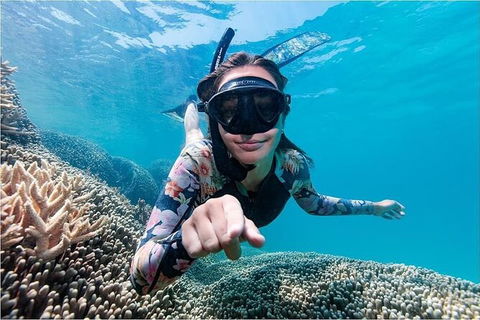 Lady Musgrave Day Trip From Bundaberg Including Snorkeling, Glass Bottom Tour And Guided Island Walk - Accommodation Georgetown 1