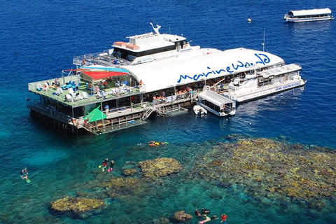Cairns 2-Day Combo: Great Barrier Reef Cruise And Kuranda - Accommodation Georgetown 5