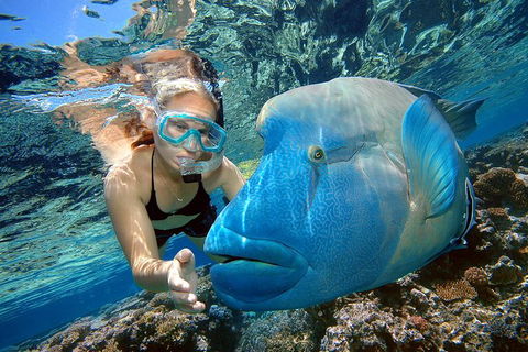 Cairns 2-Day Combo: Great Barrier Reef Cruise And Kuranda - Accommodation Georgetown 0