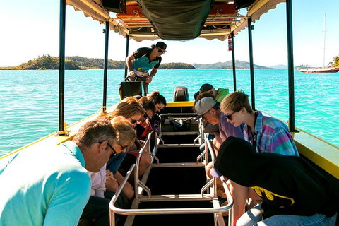 Airlie Beach Glass Bottom Boat Tour - Accommodation Georgetown 5