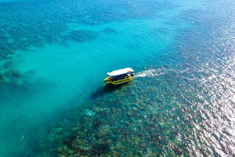 Airlie Beach Glass Bottom Boat Tour - Accommodation Georgetown 3