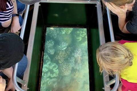 Airlie Beach Glass Bottom Boat Tour - Accommodation Georgetown 10