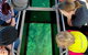 Airlie Beach Glass Bottom Boat Tour - thumb 11