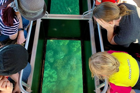 Airlie Beach Glass Bottom Boat Tour - Accommodation Georgetown 11