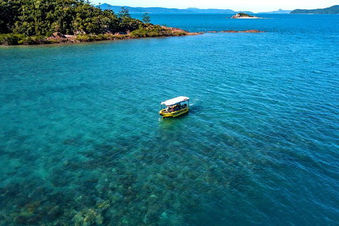 Airlie Beach Glass Bottom Boat Tour - Accommodation Georgetown 8