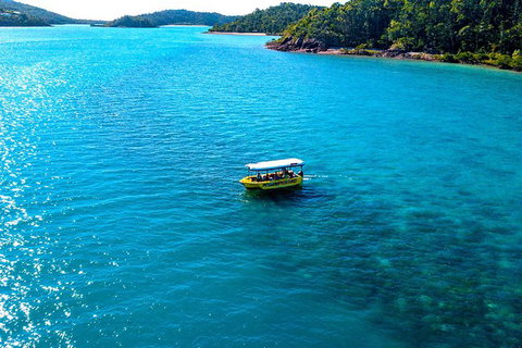 Airlie Beach Glass Bottom Boat Tour - Accommodation Georgetown 1