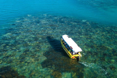 Airlie Beach Glass Bottom Boat Tour - Accommodation Georgetown 9