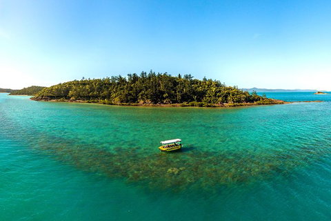 Airlie Beach Glass Bottom Boat Tour - Accommodation Georgetown 0