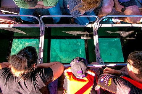 Airlie Beach Glass Bottom Boat Tour - Accommodation Georgetown 4