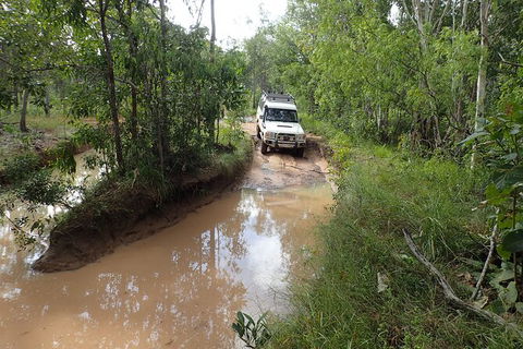 Cairns 4WD Waterfall And Rainforest Tour Including Kuranda Scenic Railway - Accommodation Georgetown 3