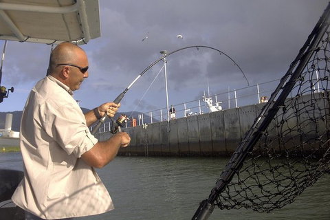 Cairns Estuary Fishing - Accommodation Georgetown 3