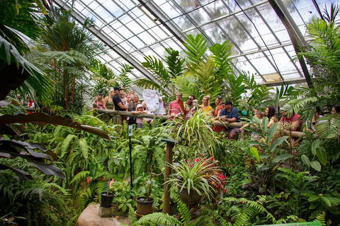 Australian Butterfly Sanctuary - Accommodation Georgetown 4