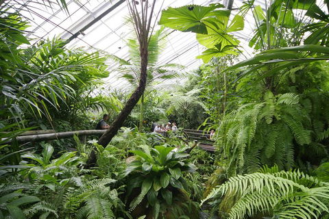 Australian Butterfly Sanctuary - Accommodation Georgetown 1