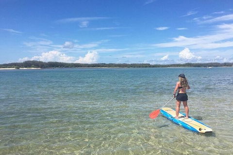 Early Morning Weekend Paddleboard Special - Accommodation Georgetown 4