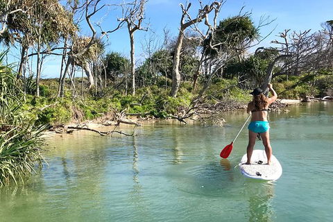 Early Morning Weekend Paddleboard Special - Accommodation Georgetown 5