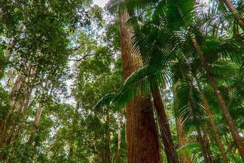 3-Day Fraser Island Hiking And 4WD Adventure From Hervey Bay - Accommodation Georgetown 1