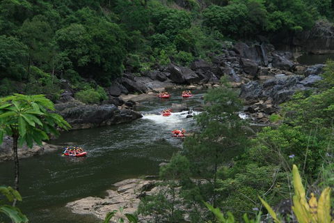 Cairns Adventure Package- 4 Tours In 3 Days! - Accommodation Georgetown 3