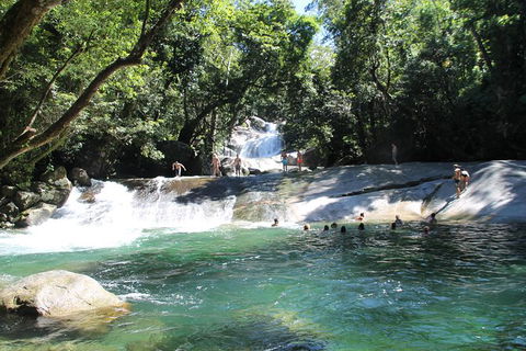 Cairns Adventure Package- 4 Tours In 3 Days! - Accommodation Georgetown 7