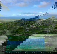 Daintree Luxury Limousine Tour - Full Day - Accommodation Georgetown