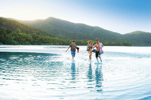 SHUTTLE - CAIRNS AIRPORT TO PORT DOUGLAS (or Reverse) - Accommodation Georgetown 1