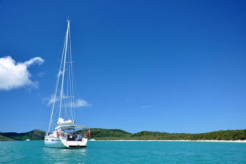 Sailing Curlew Escape On Moreton Bay - Accommodation Georgetown 0