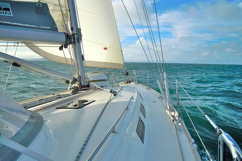 Sailing Curlew Escape On Moreton Bay - Accommodation Georgetown 7