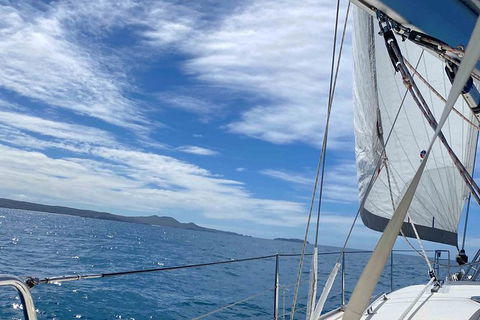 Sailing Curlew Escape On Moreton Bay - Accommodation Georgetown 17