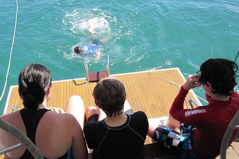 Sailing Curlew Escape On Moreton Bay - Accommodation Georgetown 12