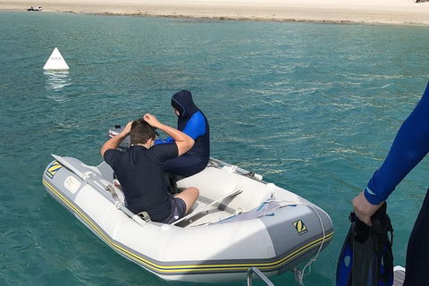 Sailing Curlew Escape On Moreton Bay - Accommodation Georgetown 16