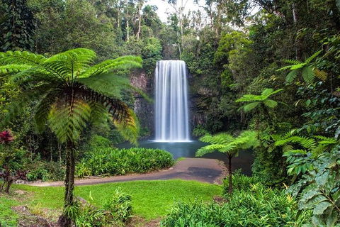 Cairns & Port Douglas All-Inclusive 7 Days Touring Package - Accommodation Georgetown 5