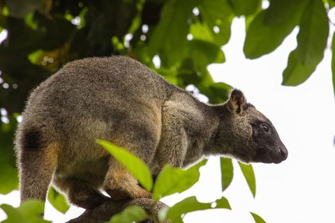 Cairns & Port Douglas All-Inclusive 7 Days Touring Package - Accommodation Georgetown 8