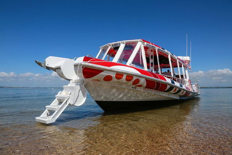 Half Day St. Helena Island Tour - Accommodation Georgetown 3