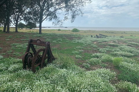 Half Day St. Helena Island Tour - Accommodation Georgetown 1