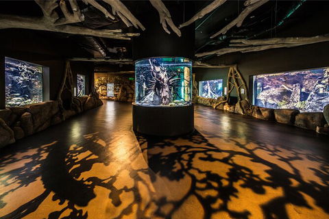 Cairns Aquarium By Twilight With 3 Course Dinner - Accommodation Georgetown 7